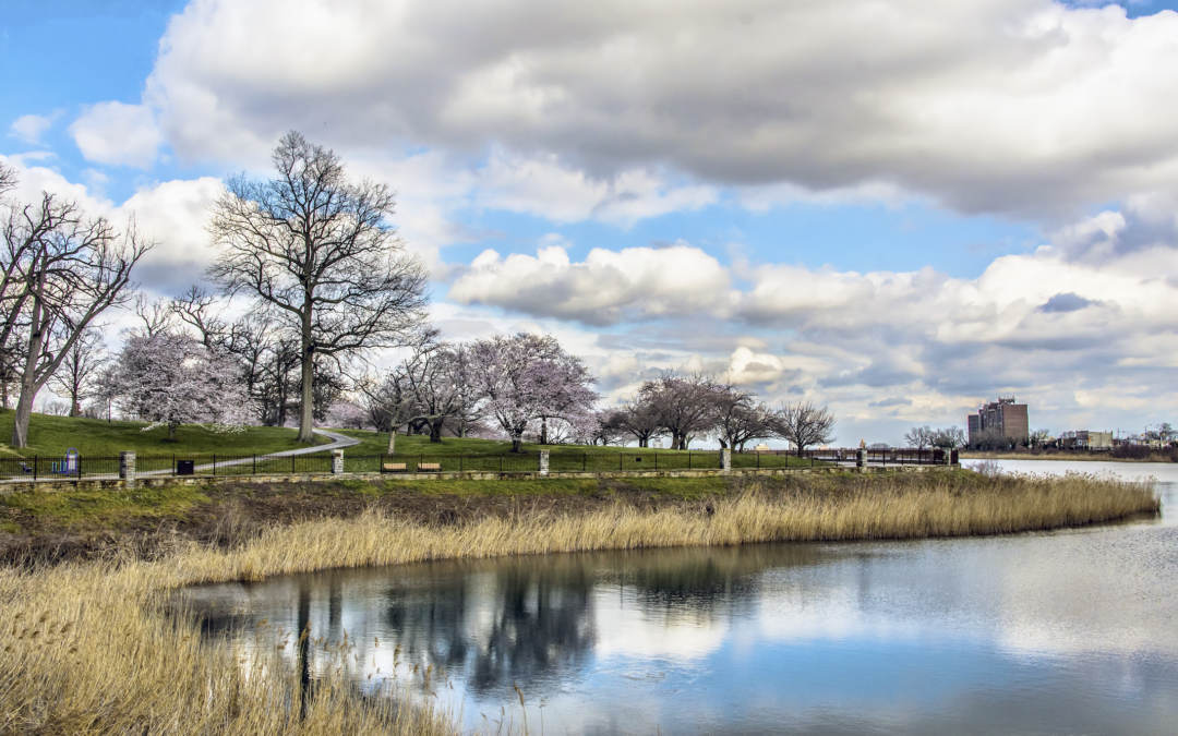 Druid Hill Park is one of the 5 Best Parks in Baltimore