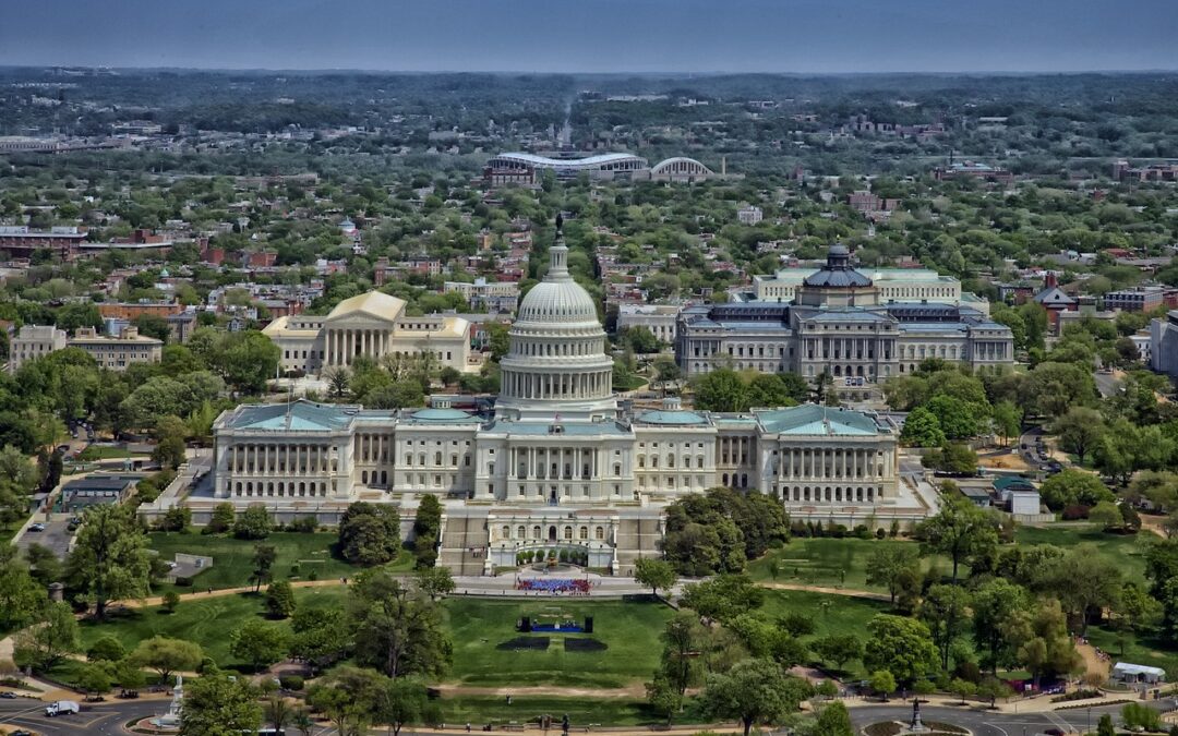 The capitol building is an iconic piece of the DMV, where commercial real estate is especially promising.